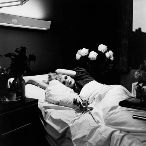 ANTONY & THE JOHNSONS / アントニー&ザ・ジョンソンズ / I AM A BIRD NOW