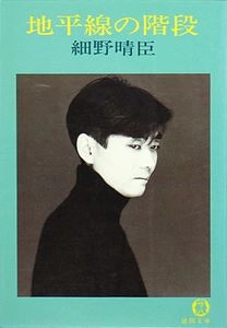 HARUOMI HOSONO / 細野晴臣 / 地平線の階段
