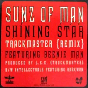 SUNZ OF MAN / サンズ・オブ・マン / SHINING STAR