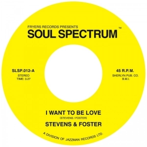 STEVENS & FOSTER / スティーヴンス & フォスター / I WANT TO BE LOVE + WHAT WOULD I HAVE