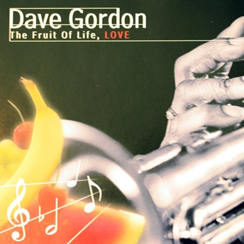 DAVE GORDON / デイヴ・ゴードン / FRUIT OF LIFE LOVE