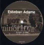 ESTEBAN ADAME   / BROWN DREAM EP