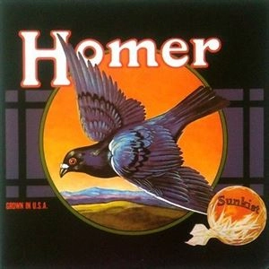 HOMER (US PSYCH) / GROWN IN U.S.A. (LP)