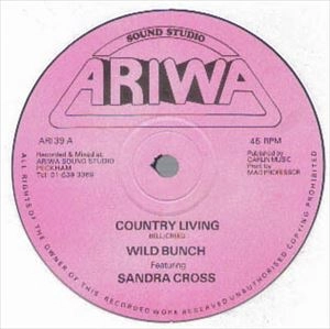 WILD BUNCH (REGGAE) / ワイルド・バンチ / COUNTRY LIVING