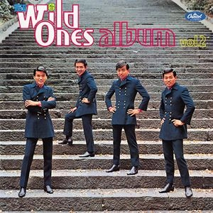 THE WILD ONES / ザ・ワイルド・ワンズ / ワイルド･ワンズ･アルバム VOL.2