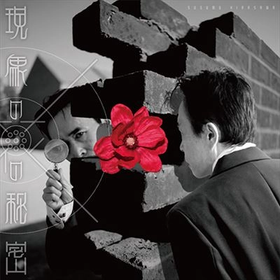 SUSUMU HIRASAWA / 平沢進 / 現象の花の秘密