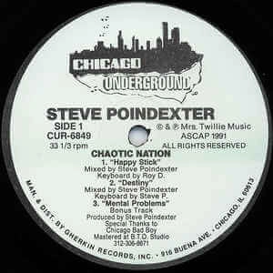 STEVE POINDEXTER / スティーヴ・ポインデクスター / CHAOTIC NATION