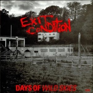 EXIT CONDITION / イグジットコンディション / DAYS OF WILD SKIES