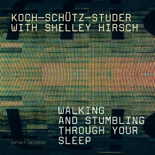 HANS KOCH / ハンス・コッホ / Walking And Stumbling Through Your Sleep 