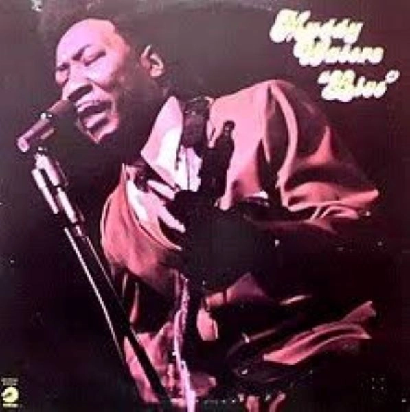 MUDDY WATERS / マディ・ウォーターズ / LIVE AT MR KELLY
