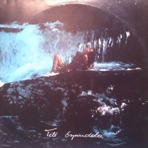 TETE ESPINDOLA / テテ・エスピンドーラ / PASSAROS NA GARGANTA