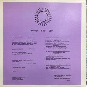 HUMAN ARTS ENSEMBLE / ヒューマン・アーツ・アンサンブル / UNDER THE SUN