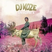 DJ KOZE / DJコーツェ / AMYGDALA