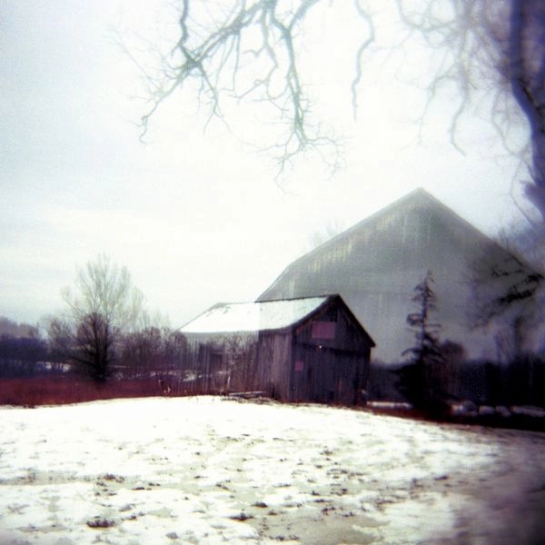 HORSE FEATHERS / ホース・フェザーズ / HOUSE WITH NO HOME (CD)