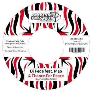 DJ FEDE / DJ フェデ / CHANGE FOR PEACE + TORINO VIOLENTA 2