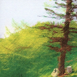 BRUTE IN FOREST / ｂｒｕｔｅ　ｉｎ　ｆｏｒｅｓｔ / COLOR MATERIAL