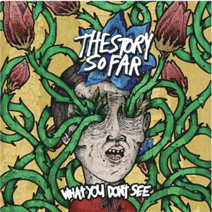 STORY SO FAR / What You Don't See