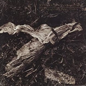 DAVID SYLVIAN / デヴィッド・シルヴィアン / PLIGHT & PREMONITION