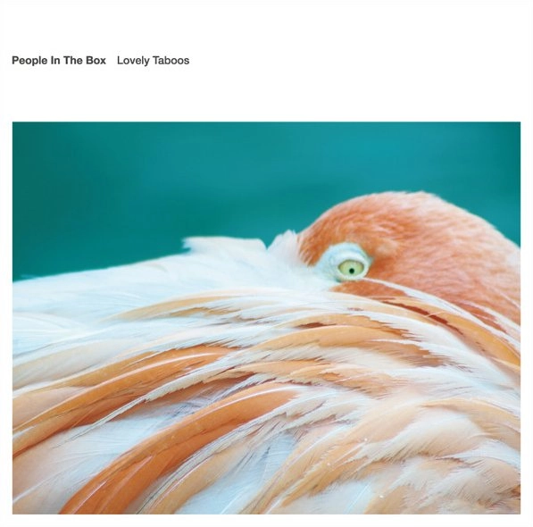 PEOPLE IN THE BOX / ピープル・イン・ザ・ボックス / Lovely Taboos