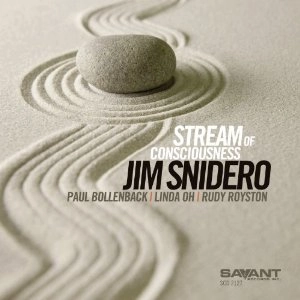 JIM SNIDERO / ジム・スナイデロ / STREAM OF CONSCIOUSNESS