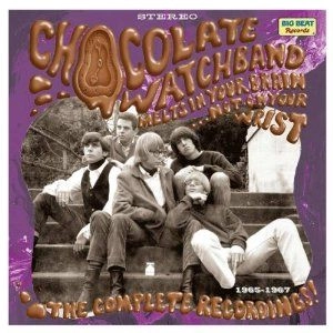 CHOCOLATE WATCHBAND / チョコレート・ウォッチバンド / MELTS IN YOUR BRAIN NOT ON YOUR WRIST!