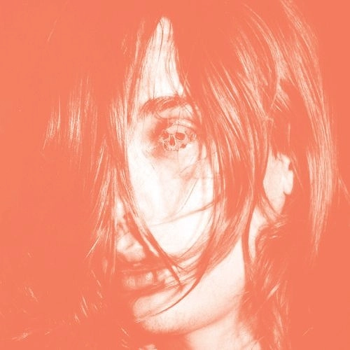 DEERHUNTER / ディアハンター / MICROCASTLE / WEIRD ERA CONTINUED (2LP)