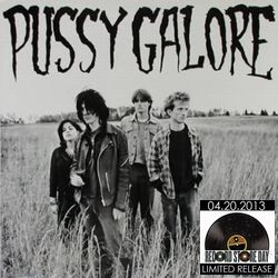 PUSSY GALORE / プッシー・ガロア / GROOVY HATE FUCK (12")