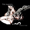 AMENTA / FLESH IS HEIR