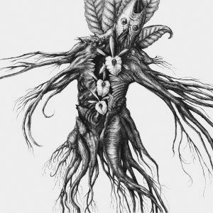 BOTANIST / ボタニスト / IV: MANDRAGORA