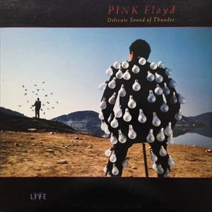 PINK FLOYD / ピンク・フロイド / DELICATE SOUND OF THUNDER