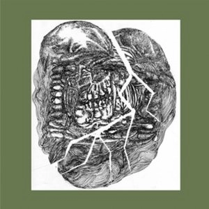 WOLF EYES / ウルフ・アイズ / NO ANSWER : LOWER FLOORS