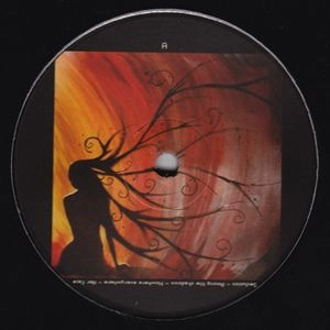 A.P. / THE EERIE CALM REINCARNATE