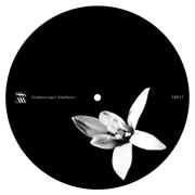 KANGDING RAY / TEMPERED INMID