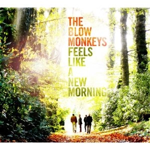BLOW MONKEYS / ブロウ・モンキーズ / FEELS LIKE A NEW MORNING
