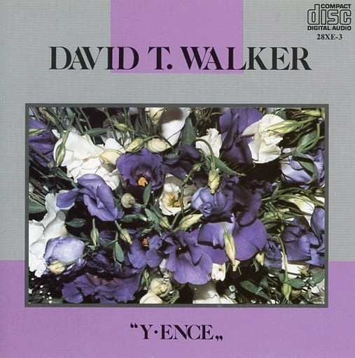 DAVID T. WALKER / デイヴィッド・T.ウォーカー / イ･エンス