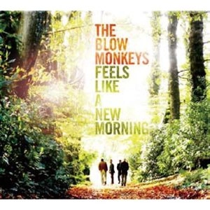 BLOW MONKEYS / ブロウ・モンキーズ / フィールズ・ライク・ア・ニューモーニング / FEELS LIKE A NEW MORNING