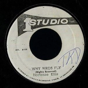 HORTENSE ELLIS / WHY BIRDS FLY
