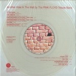 V.A. / ANOTHER HOLE IN THE WALL(LP+CD)