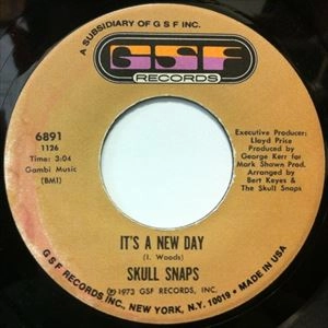 SKULL SNAPS / スカル・スナップス / MY HANG UP IS YOU / IT'S A NEW DAY
