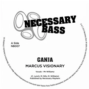 KILLA MOSQUITO FT.MR WILLIAMZ / GANJA (MARCUS VISIONARY REMIXES)