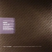 INSTRA:MENTAL & D BRIDGE/MARTYN / THINK AND CHANGE PLATE 5
