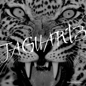 MICHIYA HARUHATA / 春畑道哉 / JAGUAR ’13