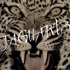 MICHIYA HARUHATA / 春畑道哉 / JAGUAR’13 / JAGUAR '13