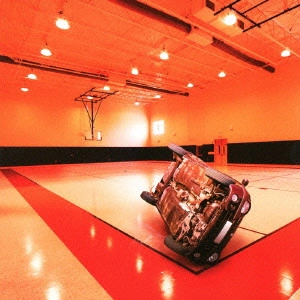 WHITE ASH / ホワイト・アッシュ / Velocity