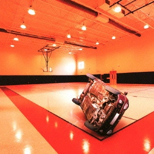 WHITE ASH / ホワイト・アッシュ / Velocity