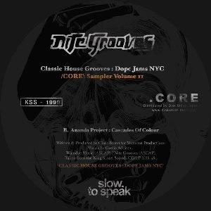 V.A. / CLASSIC HOUSE GROOVES : DOPE JAMS NYC CORE SAMPLER VOLUME 2