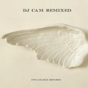 DJ CAM / DJカム / ＲＥＭＩＸＥＤ / REMIXED