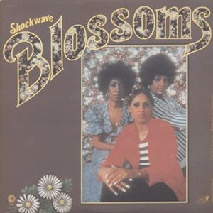 BLOSSOMS / ブロッサムズ (SOUL) / SHOCKWAVE