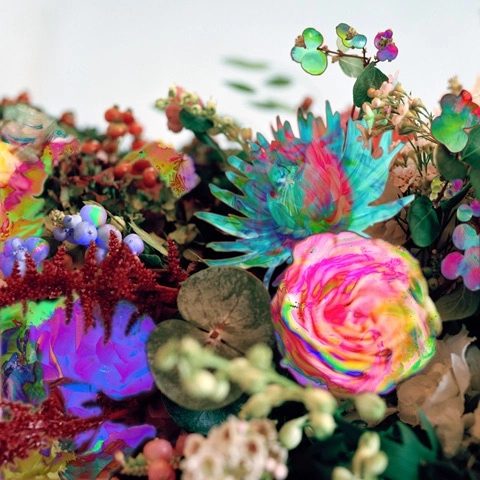 DARKSTAR / ダークスター / NEWS FROM NOWHERE