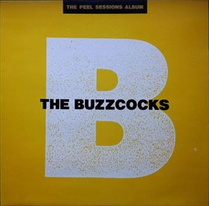 BUZZCOCKS / バズコックス / PEEL SESSIONS ALBUM